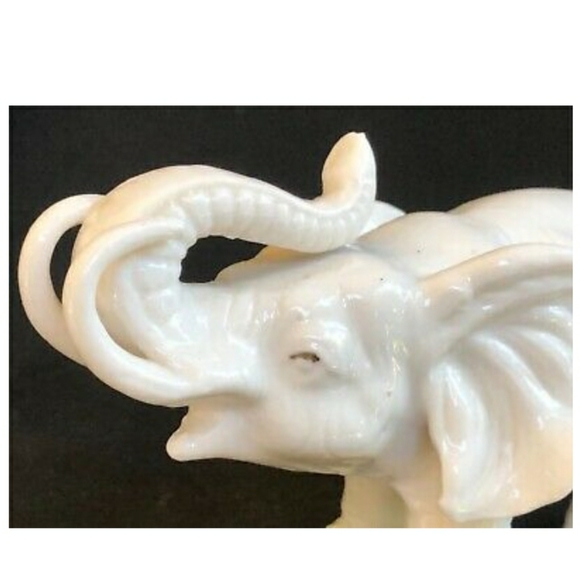 White 🐘❤❤❤🥰 - Picture 2 of 6